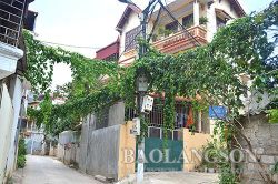 Nguy hiểm dây leo trùm đường điệnTin khácSáng mãi ngọn lửa thanh niên xung phongGia đình nhiều thế hệ: Lưu giữ, phát huy các giá trị văn hóa truyền thống