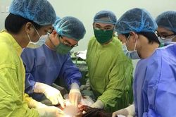 Ngã khi cưa cây, người đàn ông bị cọc bần dài gần 1m đâm xuyên hạ vị