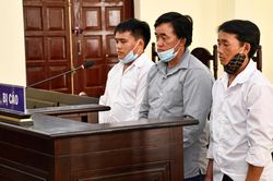 Án tù cho những kẻ phá rừng