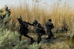 Iraq tung lực lượng đặc nhiệm ráo riết truy lùng phiến quân IS