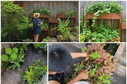 Khám phá khu vườn nhỏ xinh trong biệt thự của Tăng Thanh Hà