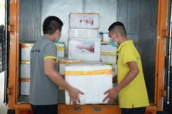 Thực hiện Nghị quyết 84/NQ-CP của Chính phủ: Hải Quan nhiều giải pháp hỗ trợ doanh nghiệp