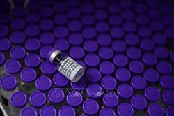 Pfizer đồng ý trả 345 triệu USD để dàn xếp vụ kiện về giá EpiPen