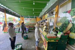 TP Hồ Chí Minh kêu gọi kiều bào hiến kế phòng, chống COVID-19
