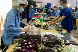 Giữ thông suốt chuỗi cung ứng hàng hóa