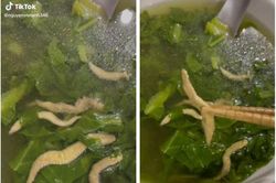 Hết 'lẩu ngọ nguậy' đến món canh đầy 'sâu': Nhìn thì sợ nhưng lại là đặc sản nổi tiếng ở miền Bắc