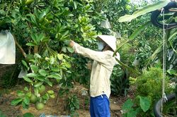 Chân Mộng: Huy động các nguồn lực phát triển kinh tế