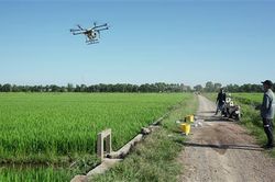 Hải Lăng: 500 ha lúa được phun thuốc bảo vệ thực vật bằng thiết bị bay không người lái