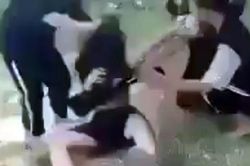 Nữ sinh bị bạn đánh hội đồng, lột áo giữa ban ngày