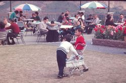 Ảnh đẹp diện mạo cuộc sống ở Hong Kong những năm 1960
