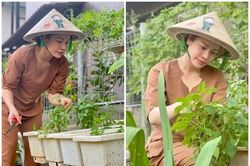 Mỏi mắt ngắm vườn rau xanh mướt giữa đại dịch của Nhật Kim Anh