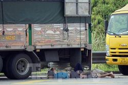 Cao tốc Hà Nội - Hải Phòng ùn ứ, tài xế vạ vật ngủ gầm xe chờ hàng