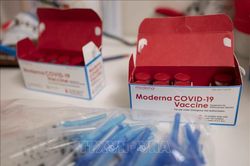 Nhật Bản cấp phép sử dụng vaccine của Moderna cho trẻ từ 12-18 tuổi