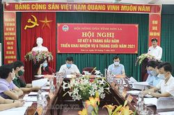 Đẩy mạnh phong trào nông dân thi đua sản xuất, kinh doanh giỏi