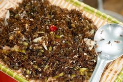 Món ăn lạ từ kiến ở Ấn Độ