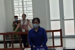Nữ cựu luật sư lĩnh án 20 tháng tù