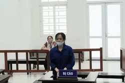 Nữ luật sư bị phạt tù vì lợi dụng các quyền tự do dân chủ