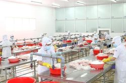 Nhiều lô nguyên liệu thủy sản nhập khẩu bị ách tắc vì giãn cách xã hội