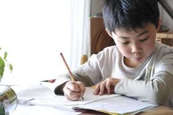 Bài văn tả cái cây của bé học sinh khiến dân tình cười ngất: 'Cây này thì có ai mà không thích?'