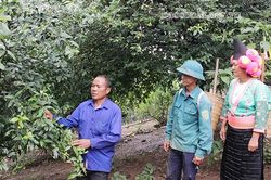 Những người 'giữ và truyền lửa' của bản mường
