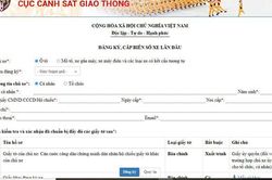 Hôm nay, 21-7, có thể đăng ký, khai báo phương tiện bằng hình thức trực tuyến