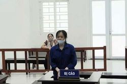 Tuyên phạt nữ luật sư 20 tháng tù vì lợi dụng các quyền tự do dân chủ