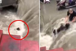 Video khoảnh khắc kỳ diệu giải cứu người phụ nữ suýt bị lũ cuốn ở Trịnh Châu