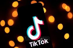Hà Lan yêu cầu TikTok nộp phạt hơn 880.000 USD