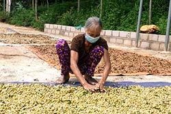 Mắc mật Bình Gia: Được mùa, mất giáTin khácSáng mãi ngọn lửa thanh niên xung phongGia đình nhiều thế hệ: Lưu giữ, phát huy các giá trị văn hóa truyền thống