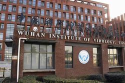 Viện Virus học Vũ Hán tuyên bố không tạo ra SARS-CoV-2