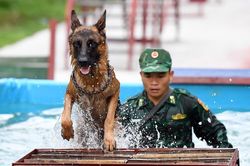 Biên phòng Việt Nam cùng 'vũ khí đặt biệt' sẵn sàng cho Army Games 2021