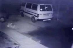 Chó nhà bị báo dữ ngoạm cổ lôi đi trong đêm và cái kết