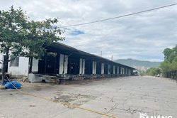Nhiều người liên quan ca nhiễm mới tại khu vực lò mổ Đà Sơn