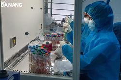 Bộ Y tế hỗ trợ Đà Nẵng trang thiết bị, sinh phẩm phục vụ công tác phòng, chống Covid-19
