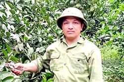 Trái ngọt từ hăng say lao động
