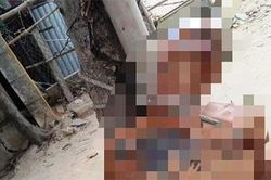 Điều tra vụ người đàn ông chết trong tư thế bị trói vào cây