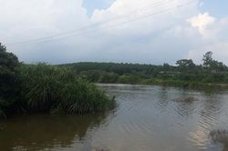 Quảng Ninh: Phát hiện thi thể người đàn ông trong hồ nuôi cá