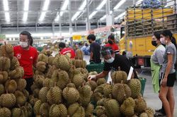 Xuất khẩu Thái Lan tăng mạnh bất chấp đại dịch