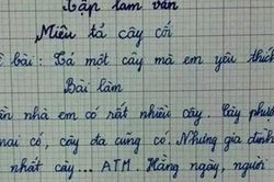 Bài văn tả cây của học sinh lớp 3 khiến nhiều người lớn sững sờ