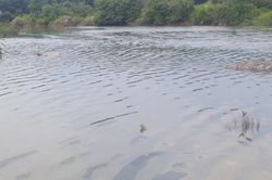 Quảng Ninh: Phát hiện thi thể người đàn ông trong hồ nuôi cá của cháu ruột