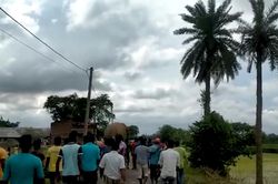 Người dân 'hộ tống' voi rừng ra khỏi làng