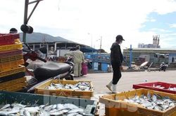 Cảng cá lớn nhất miền Trung ra sao trước giờ đóng cửa?