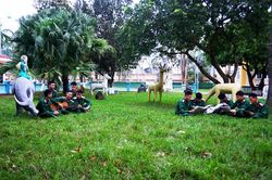 Cảnh quan đẹp từ bàn tay chiến sĩ