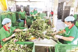 Phê duyệt Điều lệ Liên minh Hợp tác xã Việt Nam