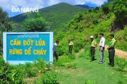 Phê duyệt đầu tư dự án khu công viên Hồ Tây, quận Liên Chiểu