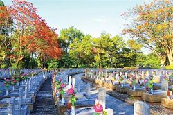 Vọng lên từ lòng đất