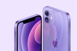 Doanh số iPhone tăng tới 50% bất chấp đại dịch Covid-19