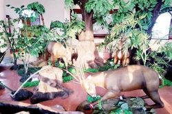 Đời sống Đời sống Đồng hành 'Giữ lại dấu chân Sao la'