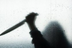 Tìm lại công lý cho nữ sinh viên bị sát hại bởi 120 nhát dao oan nghiệt