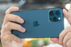 Apple có thể ra mắt iPhone Pro Max phiên bản giá rẻ
